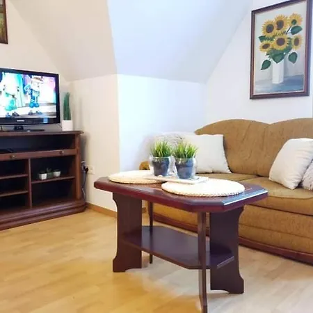 Apartment Dominik *